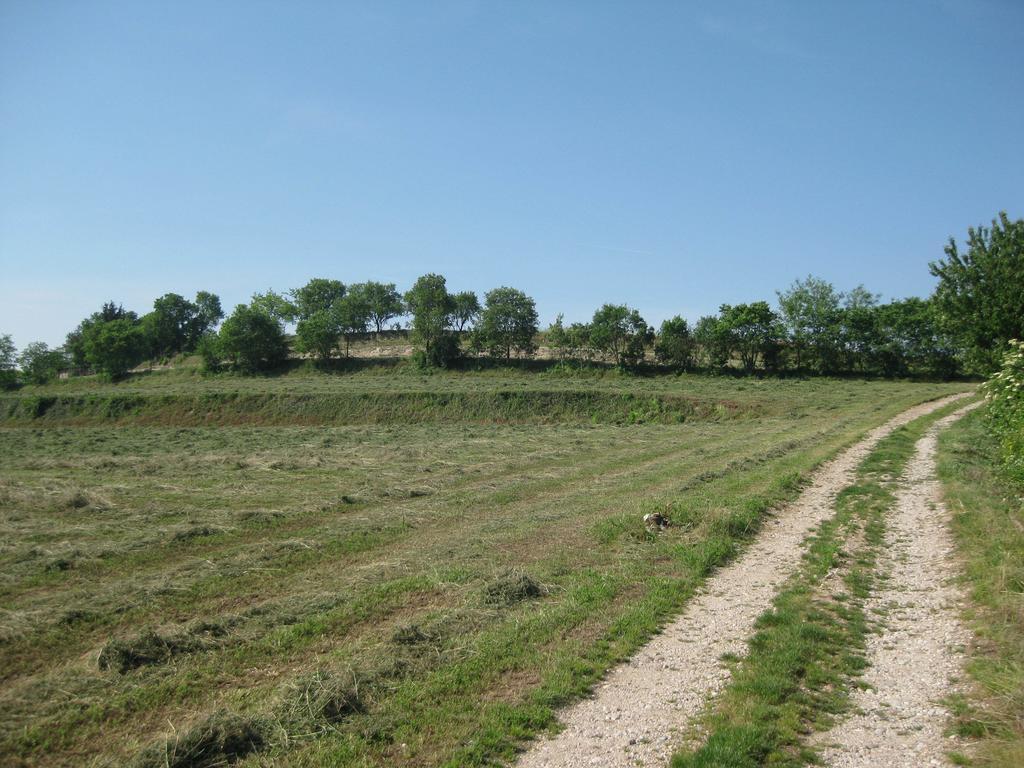 Agriturismo Campagnoletto Cavriana 部屋 写真