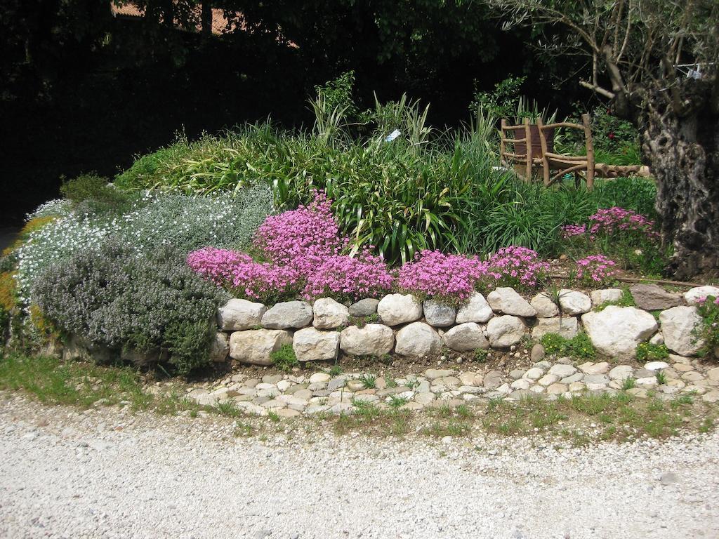 Agriturismo Campagnoletto Cavriana エクステリア 写真