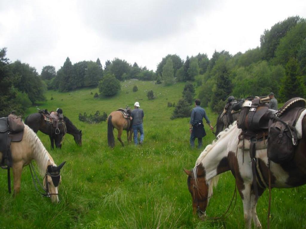 Agriturismo Campagnoletto Cavriana エクステリア 写真